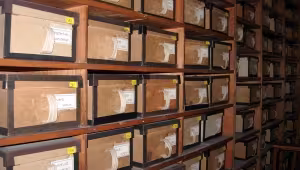 Document archive card index shelving