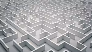 Complexity reduction—principles, methods, and challenges