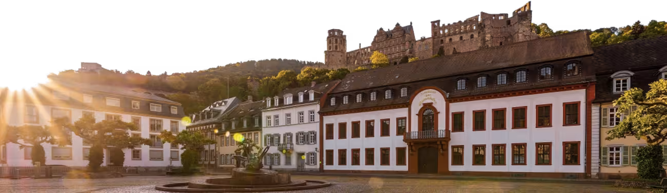 The Heidelberg Academy of Sciences and Humanities
