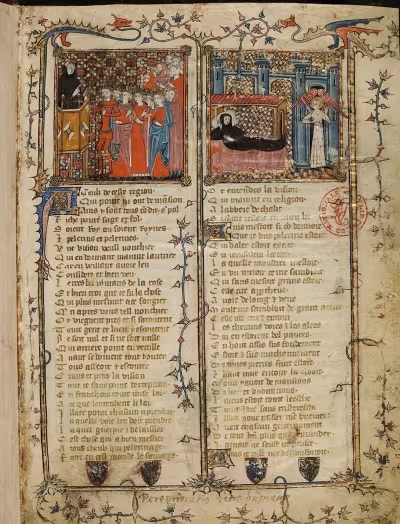 Pilgrimage of Human Life (PelVieD)