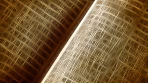 New ways of intertwining natural sciences and humanities