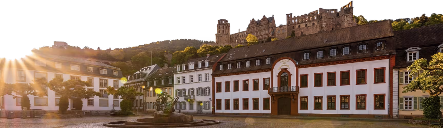 The Heidelberg Academy of Sciences